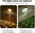 Decorative Solar Fence Lights